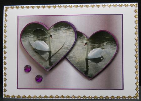 Beautiful Swans in Hearts – Purple by Yvonne Middleton