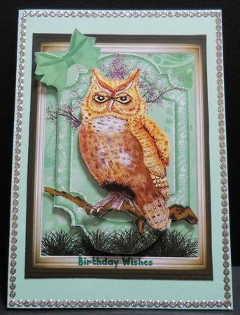 Owl on a Branch by Yvonne Middleton