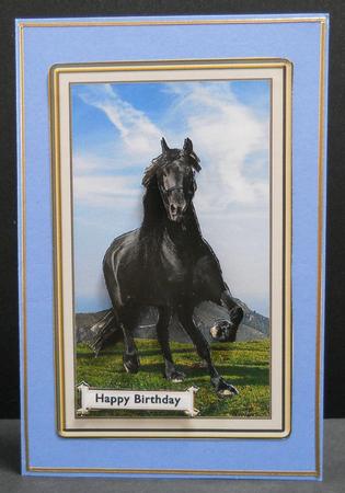 Black Beauty by Yvonne Middleton