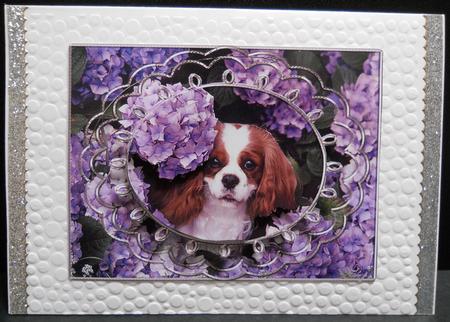 King Charles Cavalier Hiding in the Flowers by Yvonne Middleton