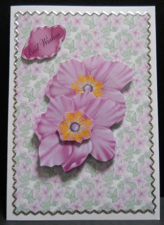 Purple Florals (3) by Yvonne Middleton