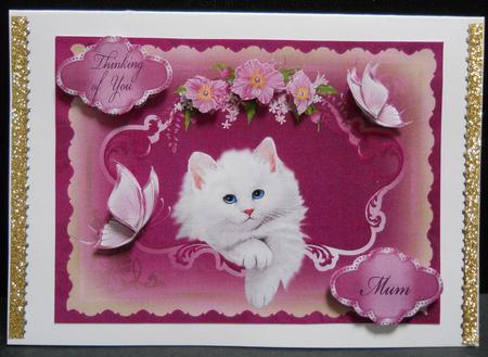 Framed Puss for Various Occasions #2 by Yvonne Middleton