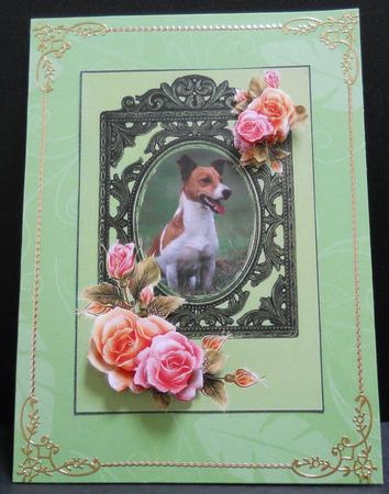 Jr in the Roses by Yvonne Middleton