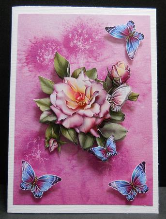 Pink Dandelion Clock Vellum by Yvonne Middleton