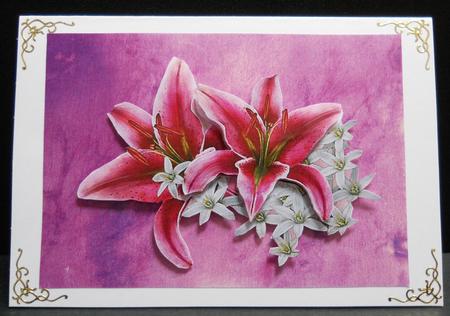 Lilac and Pink Vellum by Yvonne Middleton