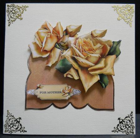 Orange Rose by Yvonne Middleton