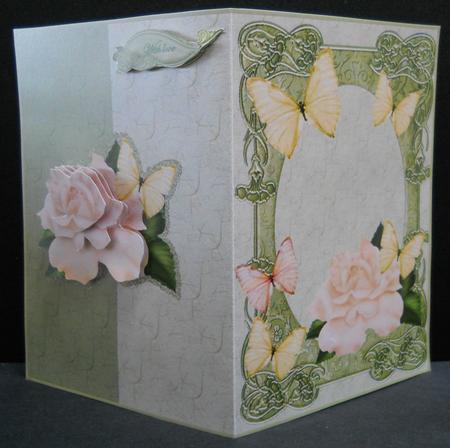 Rose and Butterfly's by Yvonne Middleton