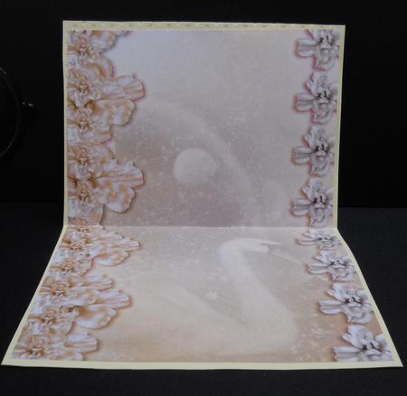 Midnight Swan in Peach Backing Paper 1 by Yvonne Middleton