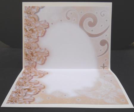 Midnight Swan in Peach A4 Insert by Yvonne Middleton