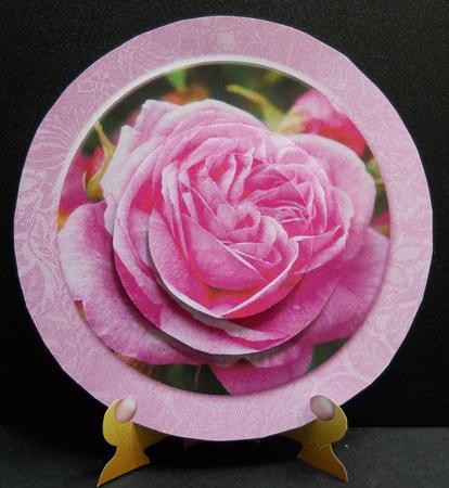 Pink Rose Birthday or Other Plate and Stand by Yvonne Middleton