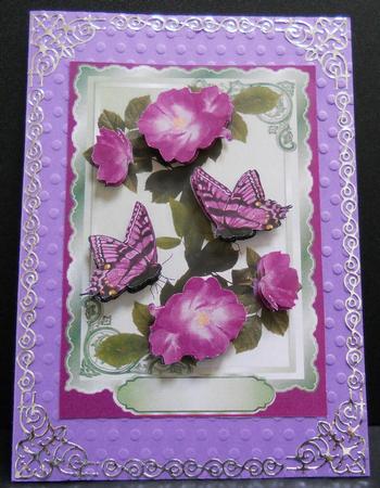 Pink Wild Roses with Butterflies by Yvonne Middleton