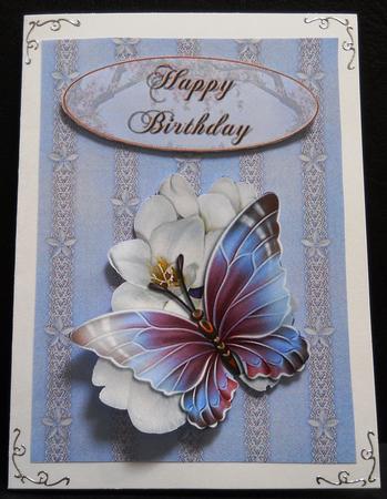 Catseye N Lace Backing Paper in Blue by Yvonne Middleton