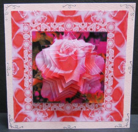 My Favourite Garden Rose, Pink by Yvonne Middleton