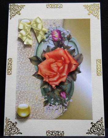 Apricot Rose by Yvonne Middleton