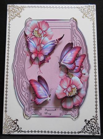 Butterflie Beauty Special Day by Yvonne Middleton
