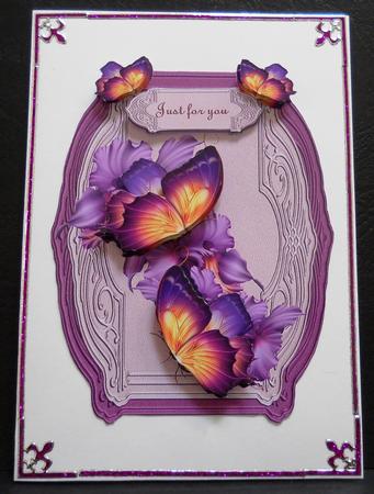 Butterflie Beauty Sympathy by Yvonne Middleton