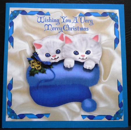 Cute Kitties in Blue Santa Hat by Yvonne Middleton