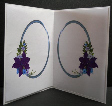Clematis and Butterflies Insert by Yvonne Middleton
