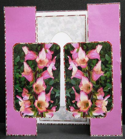 Foxgloves by Yvonne Middleton