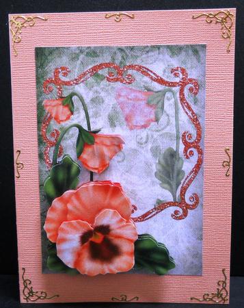 Pansy Bloom Peach Card Topper by Yvonne Middleton