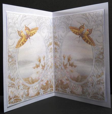 Soft Butterfly Frame Insert by Yvonne Middleton