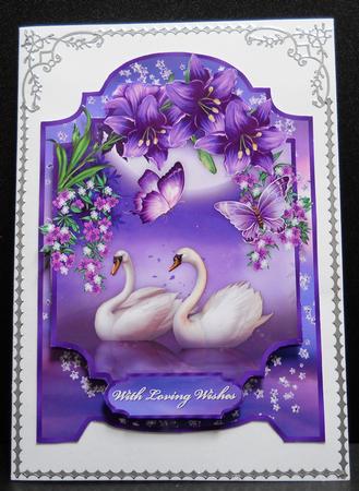 Swan Song A4 Screen Card Front by Yvonne Middleton