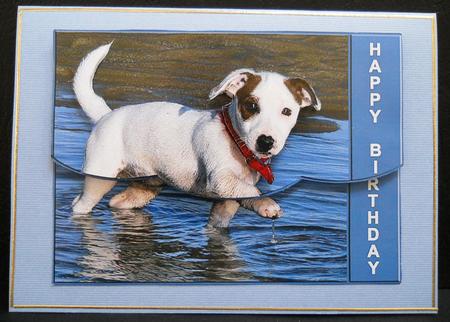 Cute Jack Russell - Envelope Card by Yvonne Middleton