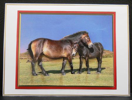 Horses - Mare and Foal by Yvonne Middleton