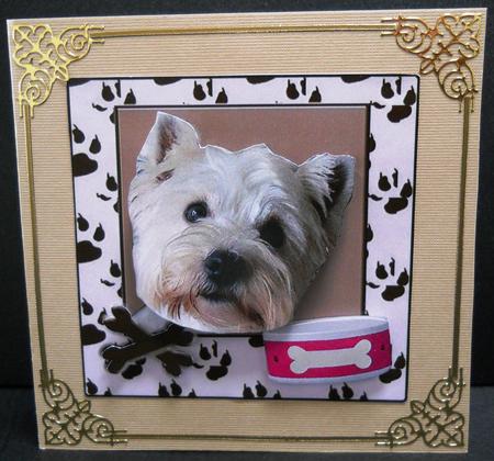 Westie Portrait by Yvonne Middleton
