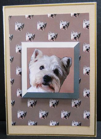 Westie Backing Sheet by Yvonne Middleton