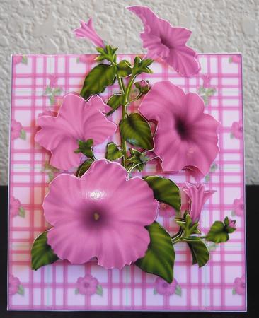 Pink Petunia by Yvonne Middleton