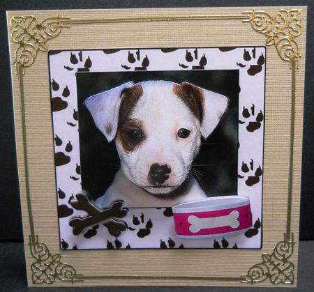 Jack Russel Puppy Portrait by Yvonne Middleton