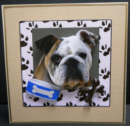 Bulldog Portrait by Yvonne Middleton