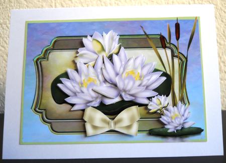 Beautiful Lily Pond by Yvonne Middleton