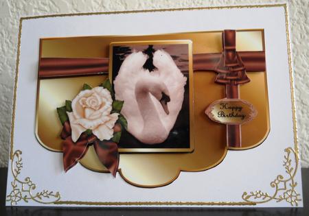 Swan Bd A4 by Yvonne Middleton