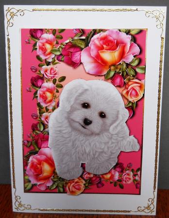 Poodle Puppy & Romantica Roses by Yvonne Middleton