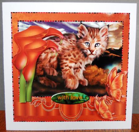 Little Bob Loves Butterflies and Lillies -  by Yvonne Middleton