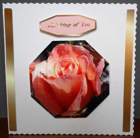 Peach Rosebud Octagonal Pyramid Sheet by Yvonne Middleton