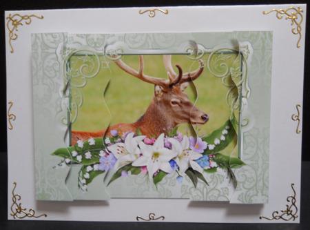 Male Red Deer Wavy Side Stacker Card by Yvonne Middleton