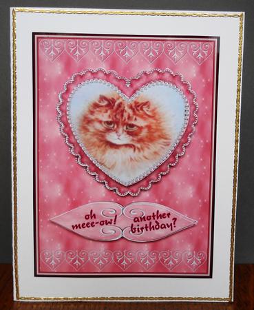 Oh Meee-ow! Another Birthday? by Yvonne Middleton