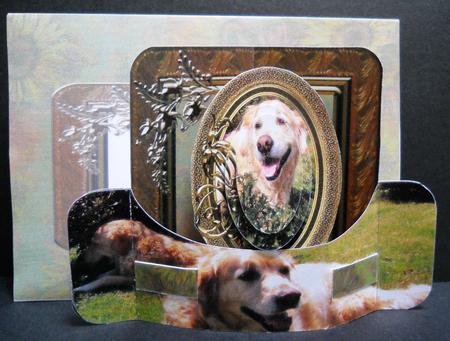 Dogs Outdoors Push and Pull Card Kit by Yvonne Middleton
