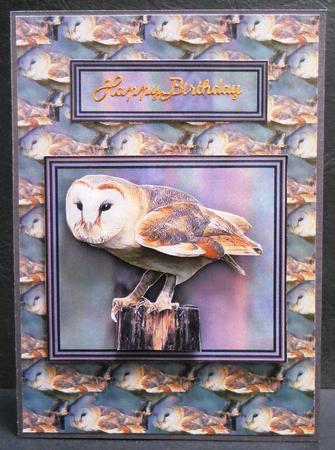 Barn Owl 3D Decoupage & Background Sheet by Yvonne Middleton