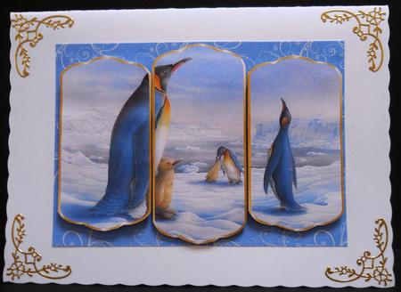 Arctic Penguins Christmas Card by Yvonne Middleton