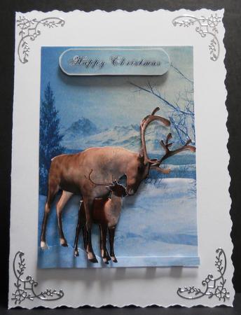 Reindeer and Fawn Christmas Quick Card by Yvonne Middleton