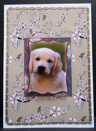 Japanese Floral Backing Sheets by Yvonne Middleton