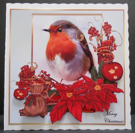 Red Robin by Yvonne Middleton