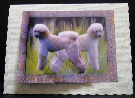 All About Poodles 2 Card Sheet by Yvonne Middleton
