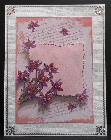 Floral Frame Backing Sheets by Yvonne Middleton