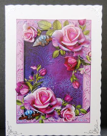 Beautiful Roses - Purple & Pink by Yvonne Middleton