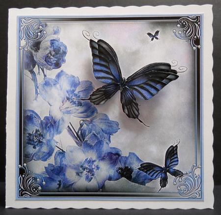 Butterfly Blue by Yvonne Middleton